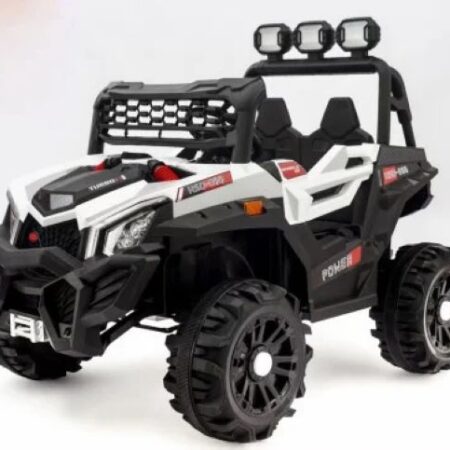 AUTO 319 BELI