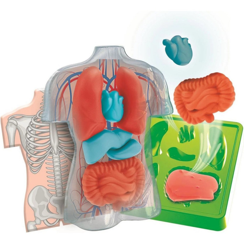CLEMENTONI ANATOMIA SQUISHY - Slika 2